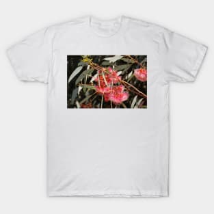 Pink Flowering Gum  by Avril Thomas, South Australian artist T-Shirt